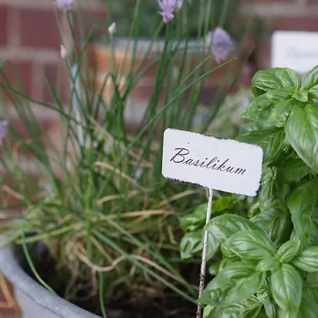 Casa de Férias Haus Am Holder Bohme